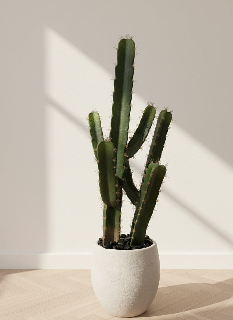 Artificial Cactus – Maison Mayara