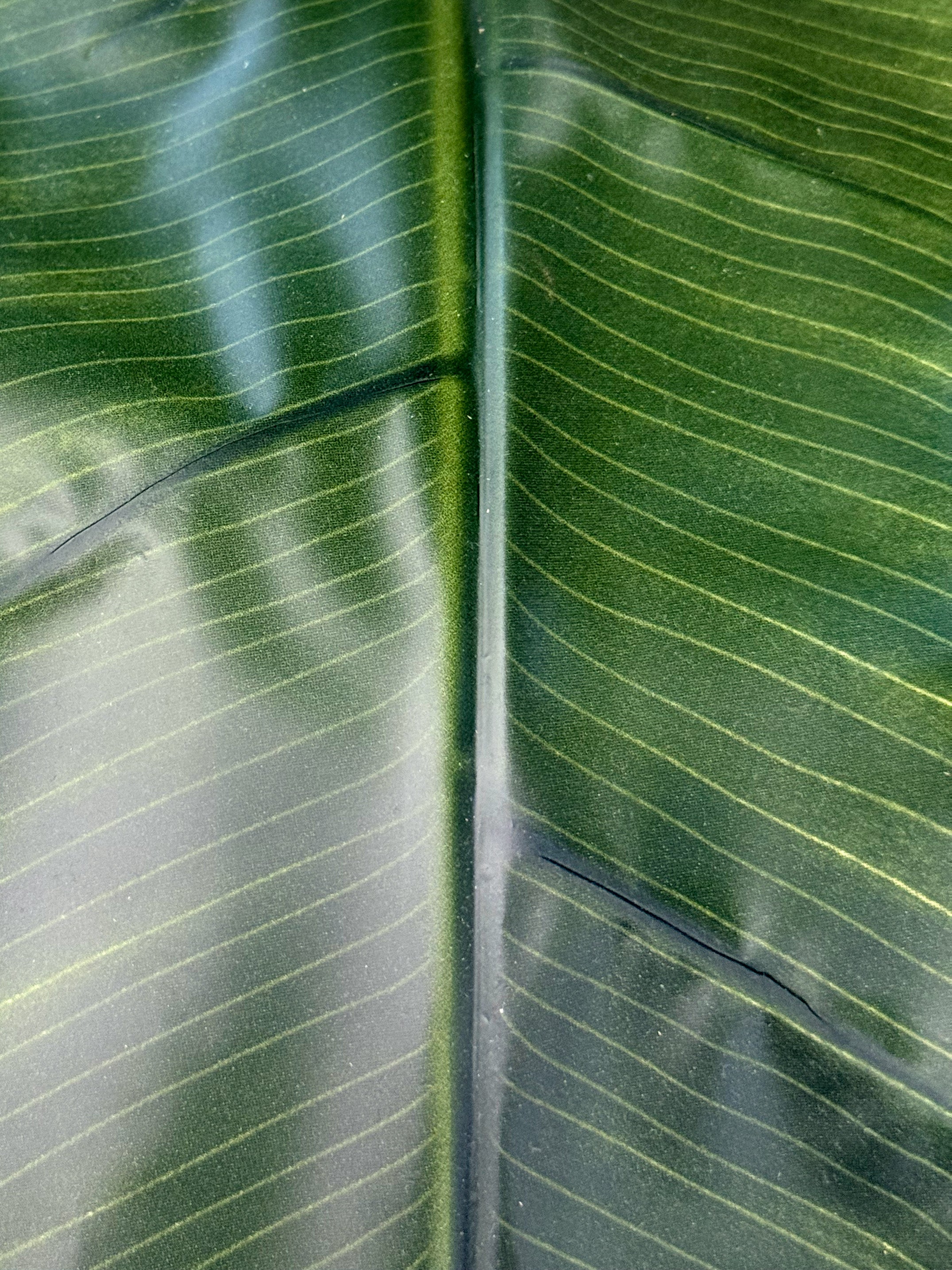 Artificial Banana Tree