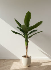 Artificial Banana Tree