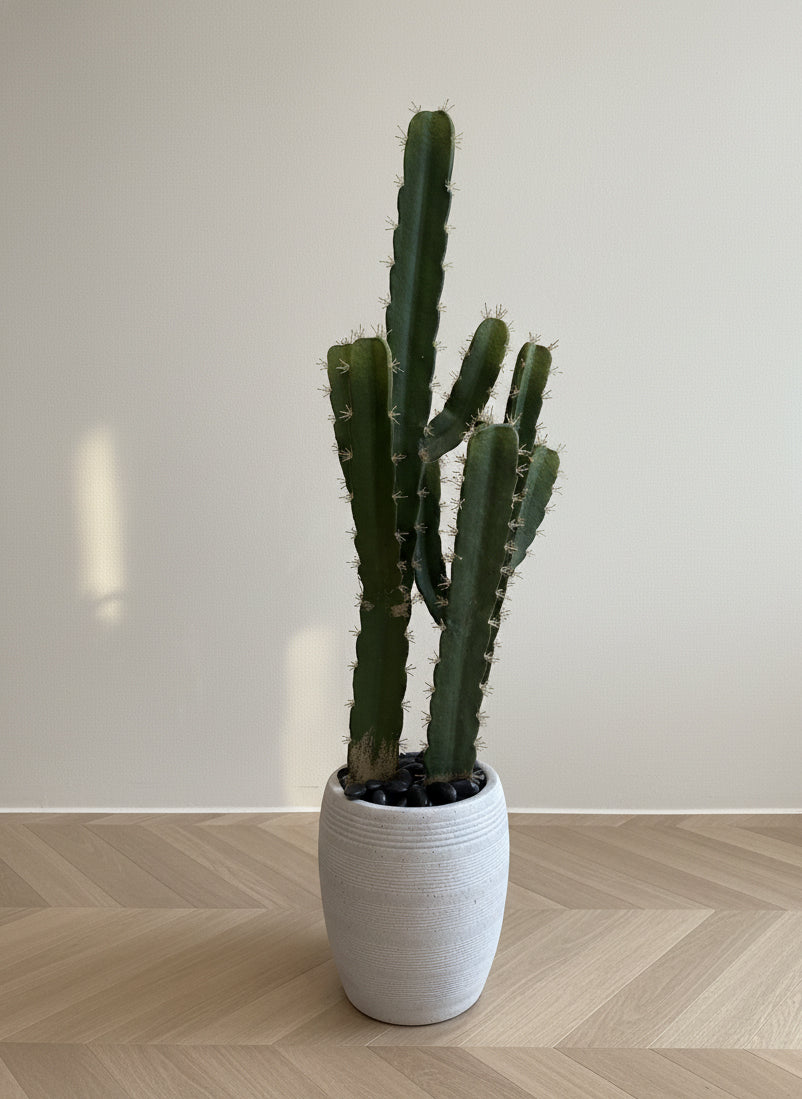 Artificial Cactus