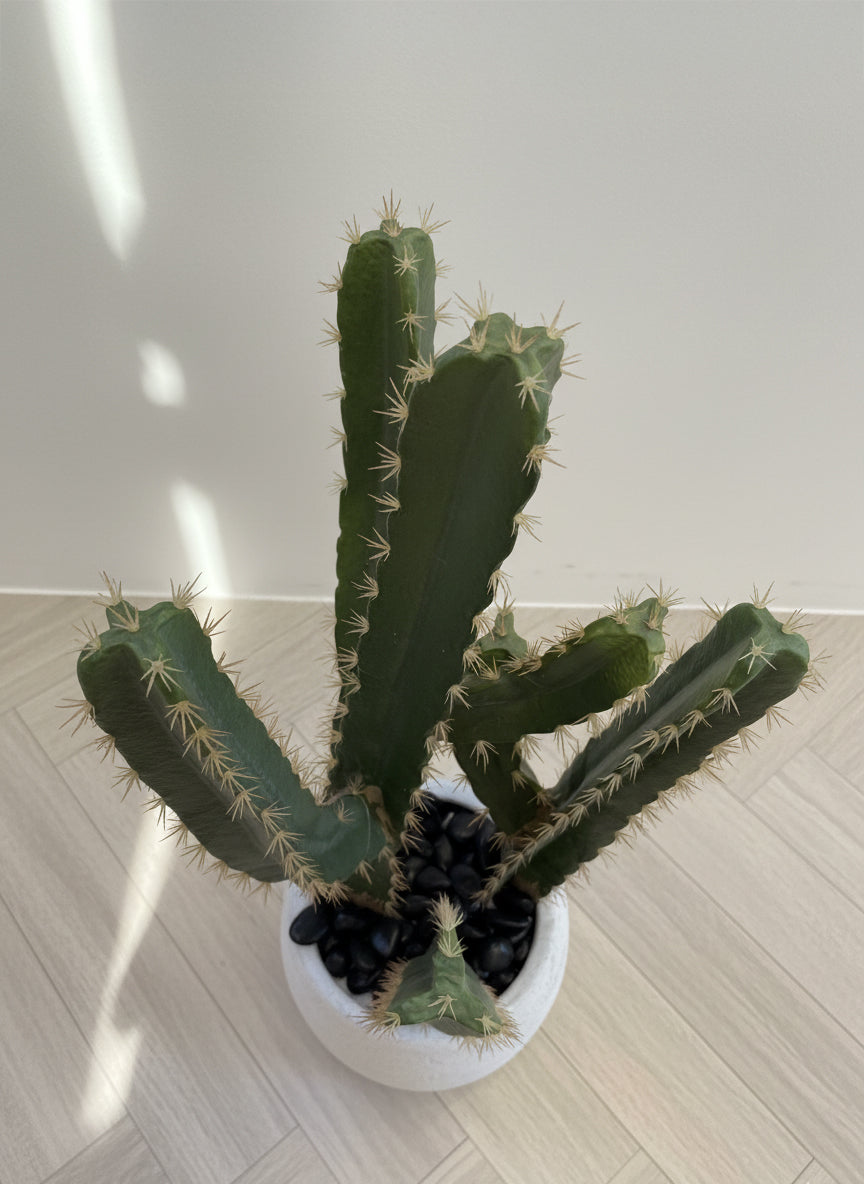 Artificial Cactus