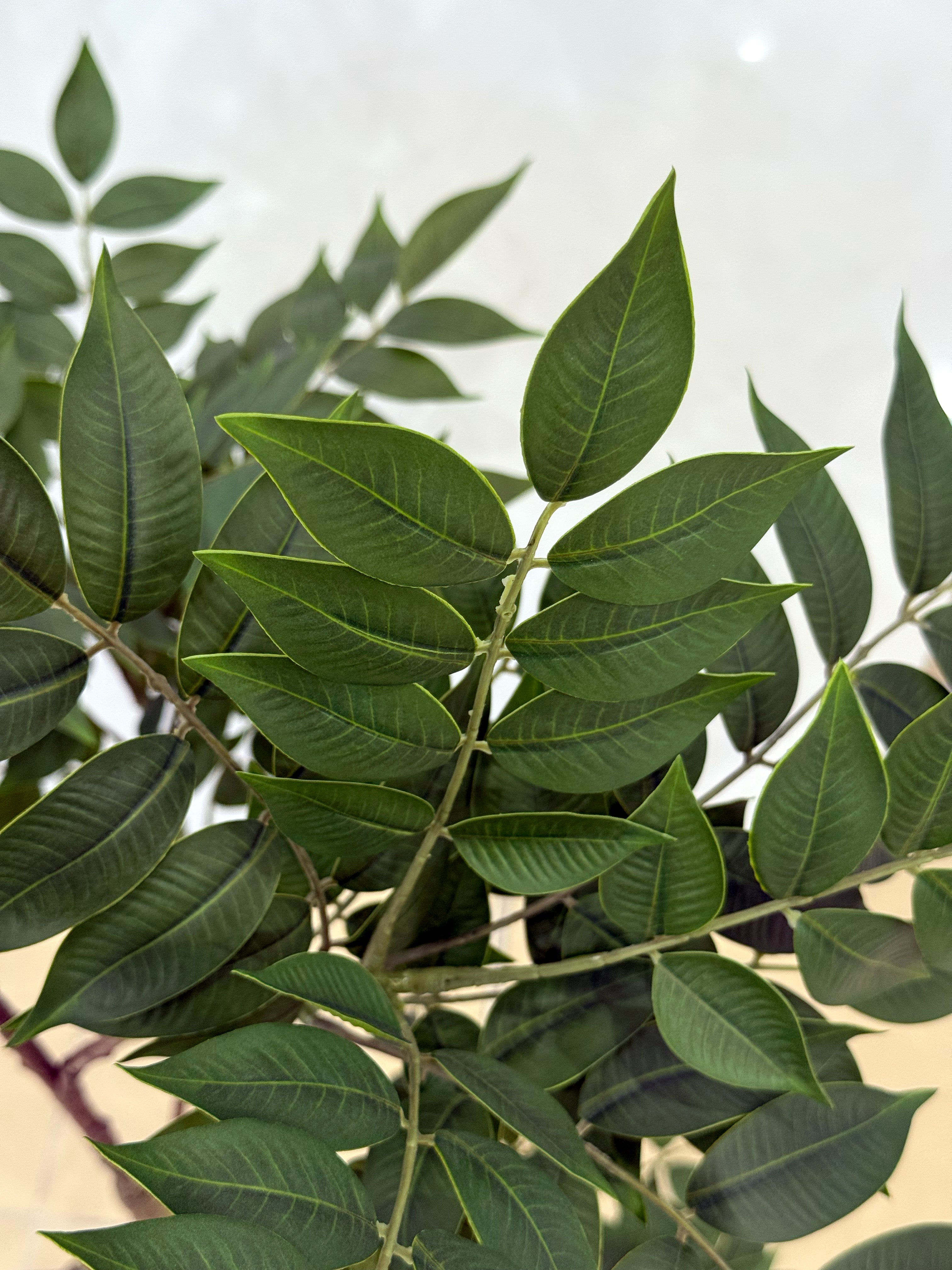 Artificial Ficus Tree