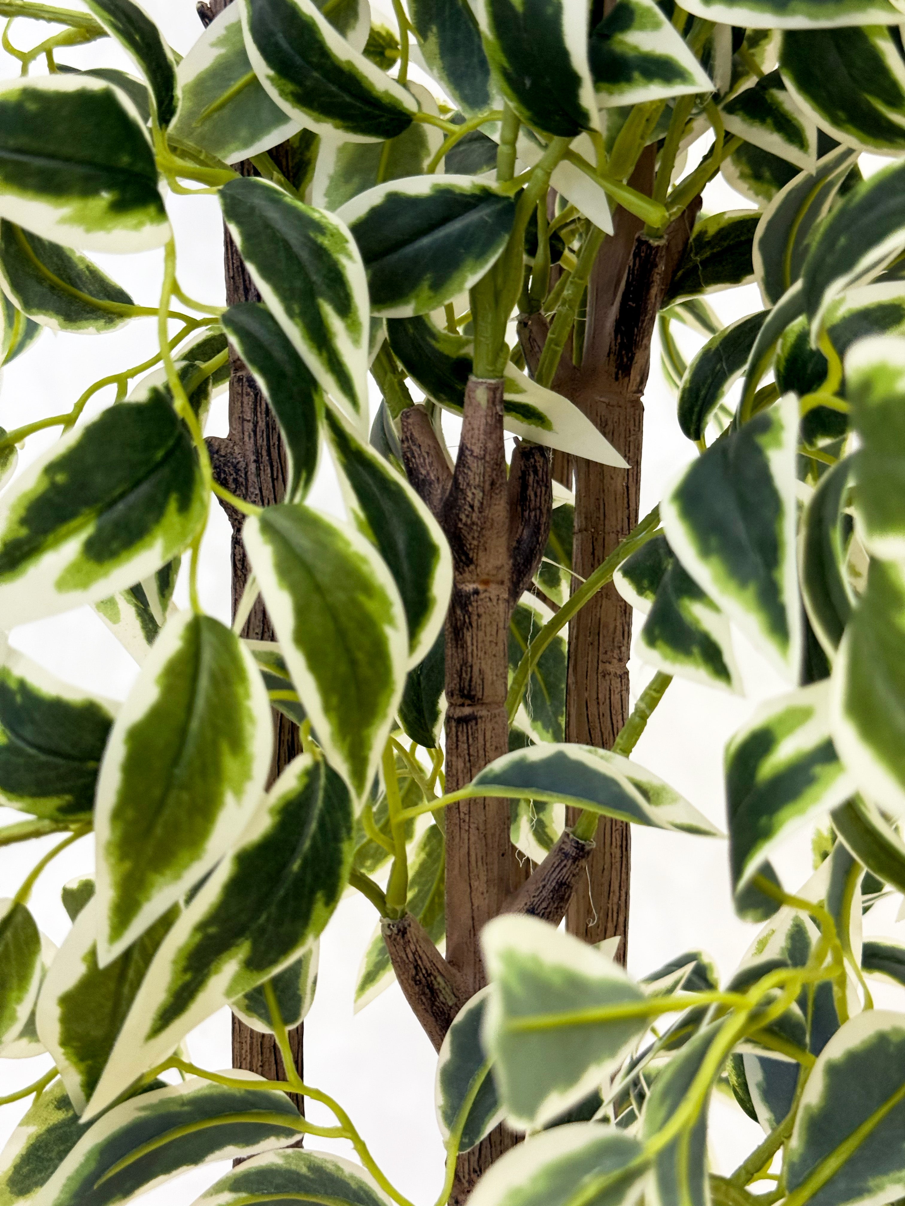 Artificial Ficus Tree