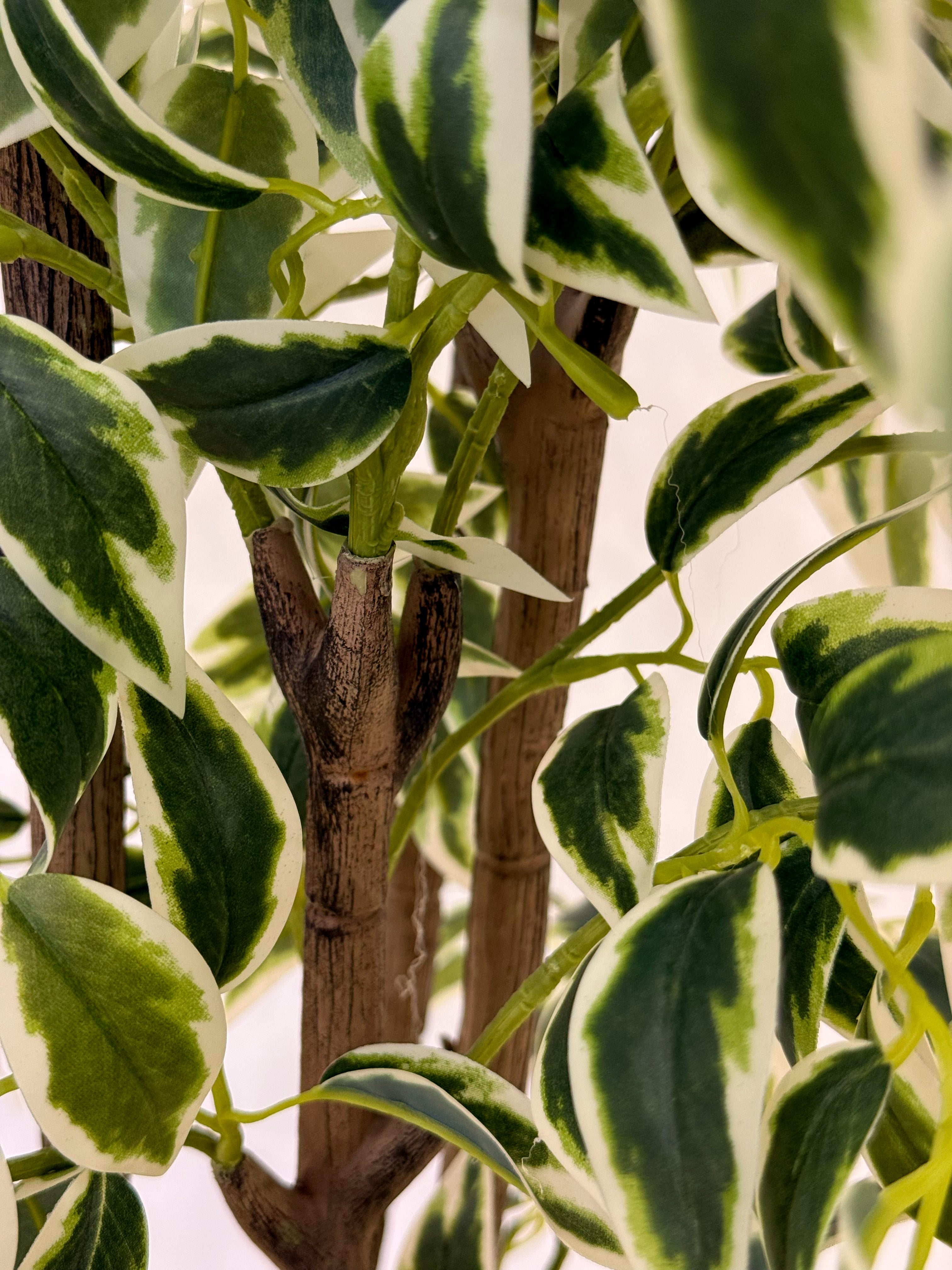 Artificial Ficus Tree