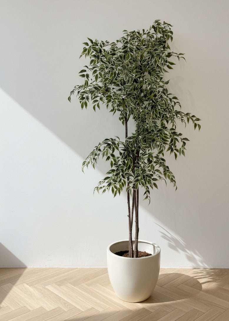 Artificial Ficus Tree
