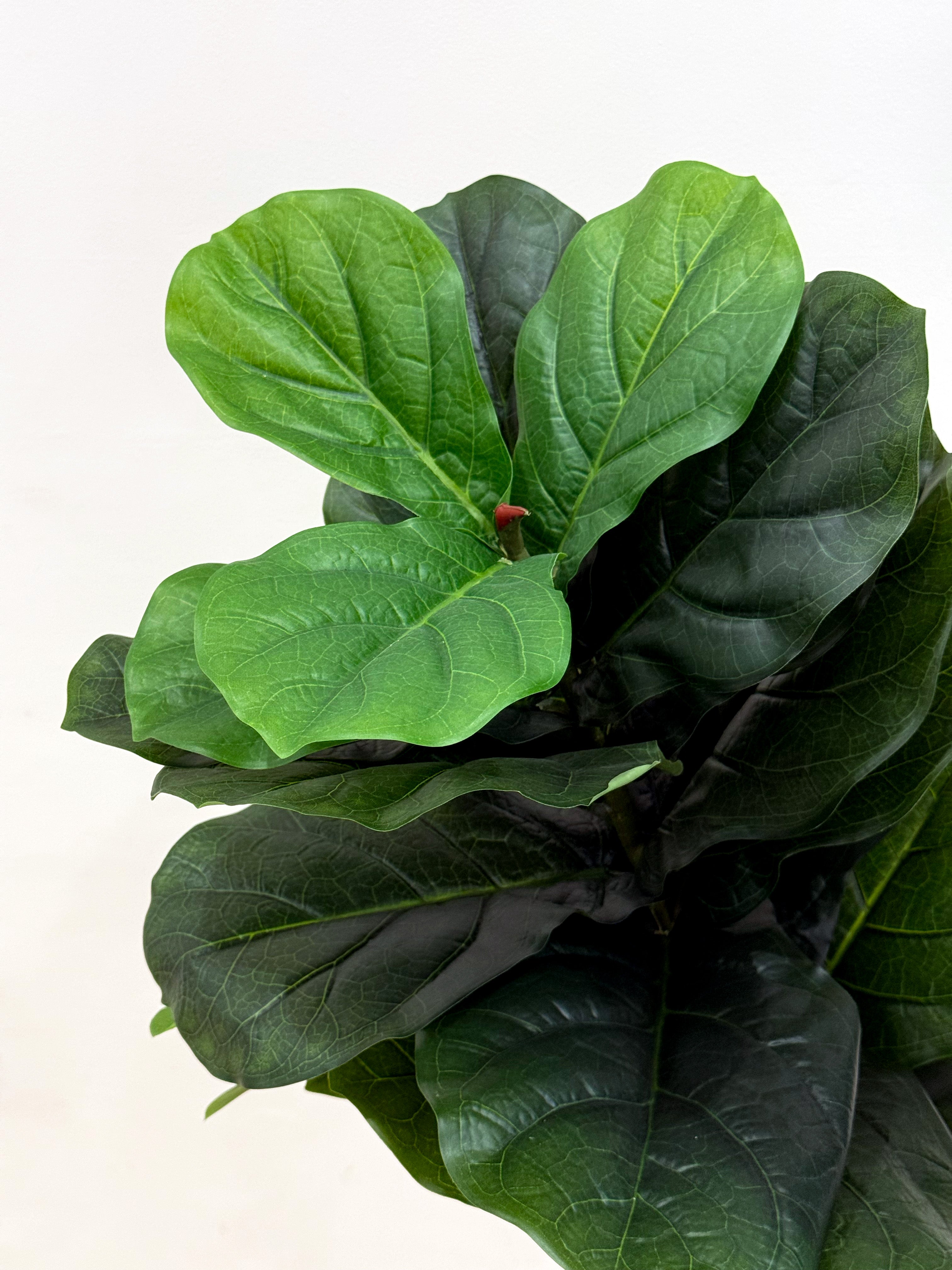 Artificial Fiddle Leaf Fig Tree