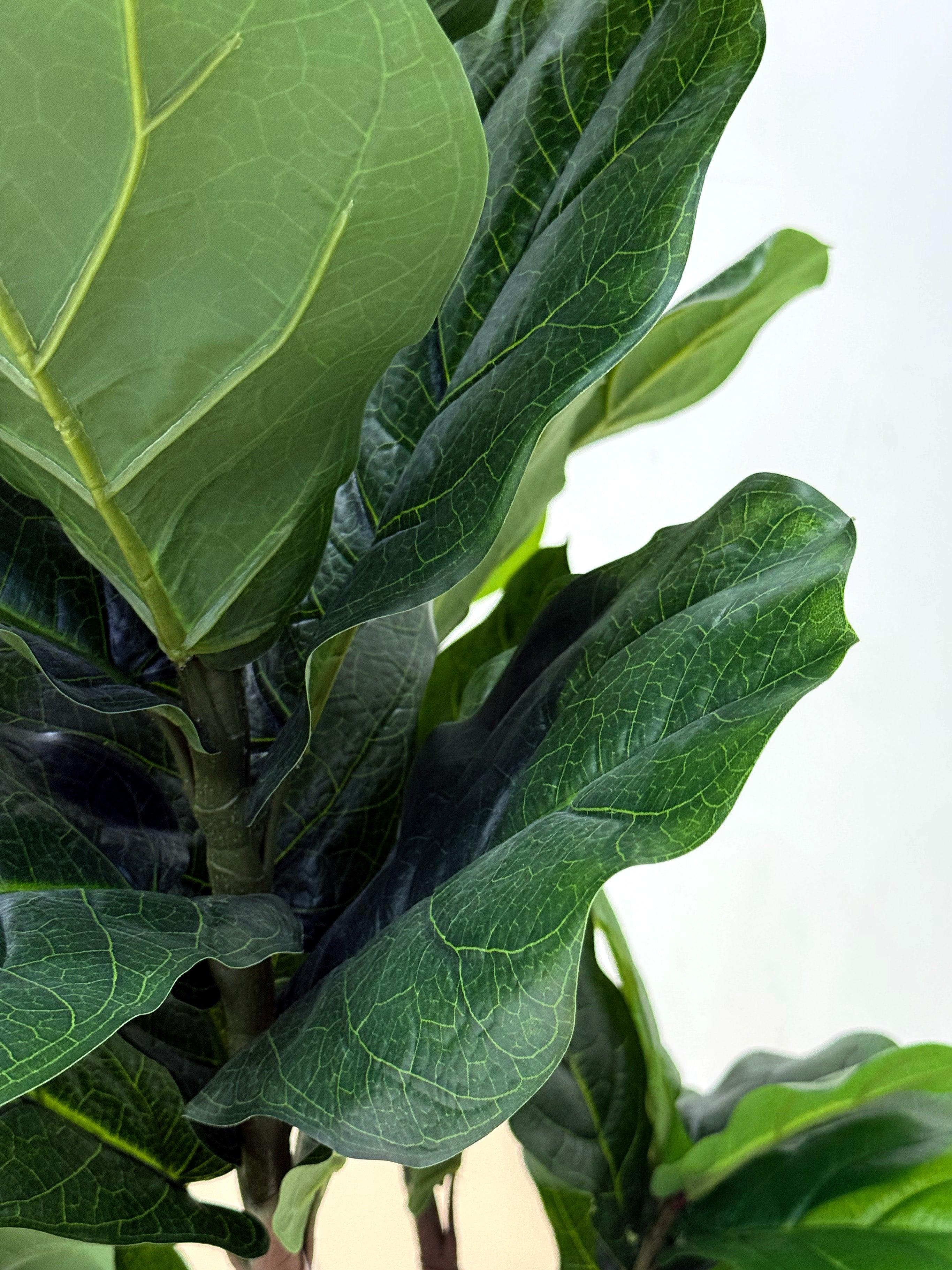 Artificial Fiddle Leaf Fig Tree