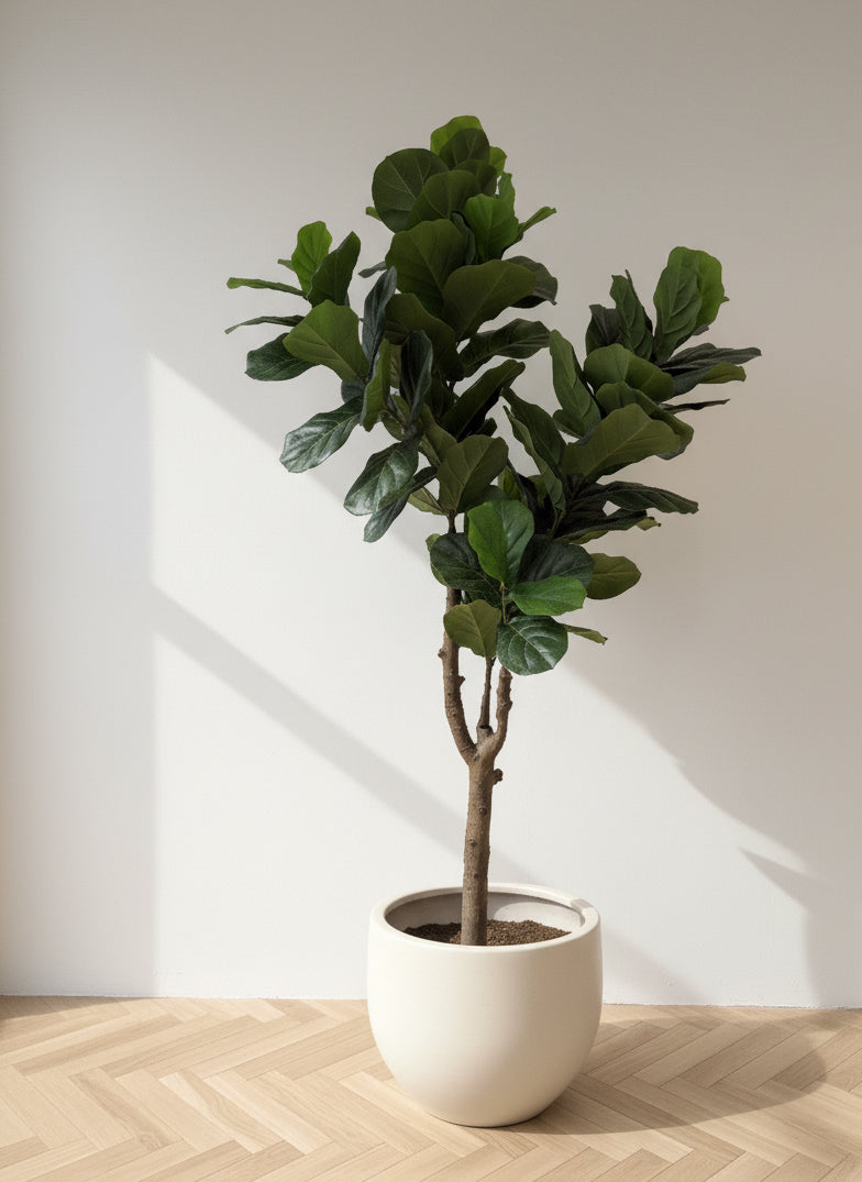 Artificial Fiddle Leaf Fig Tree