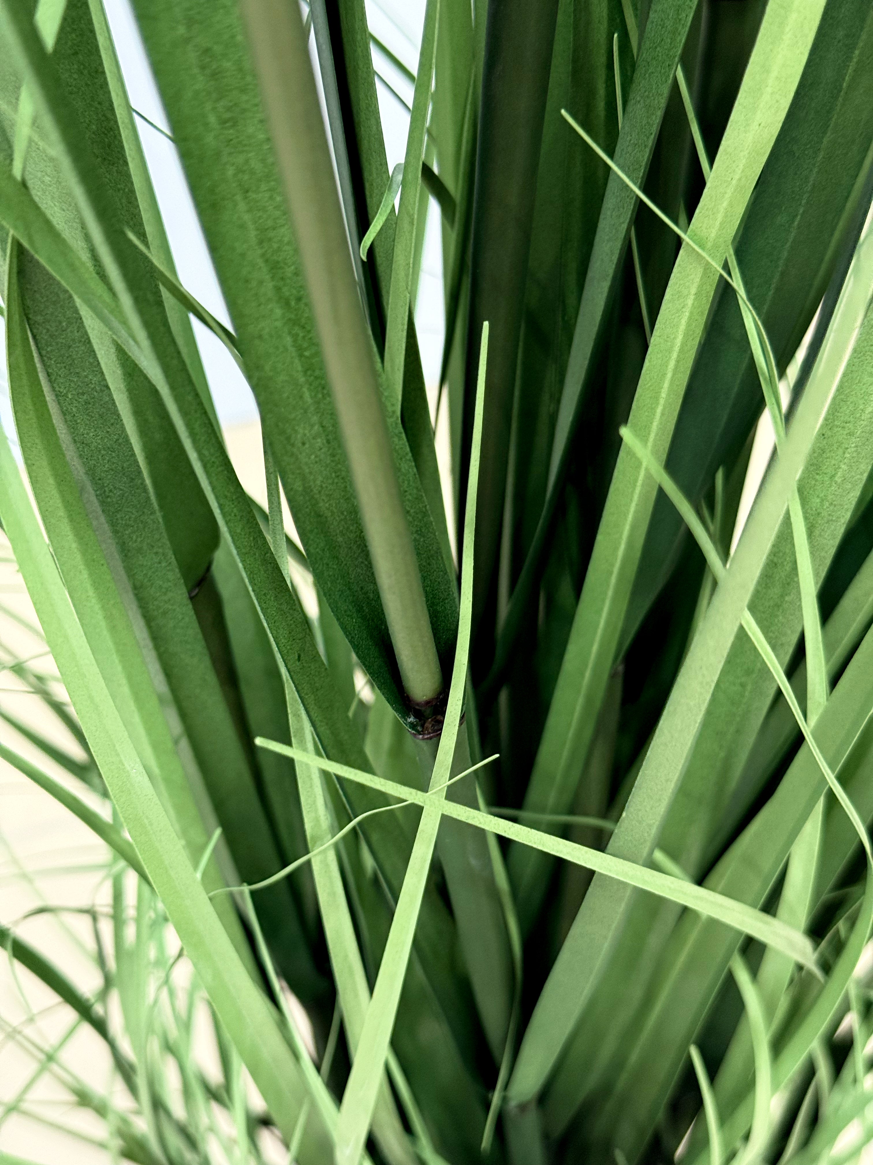 Artificial Pampas Grass