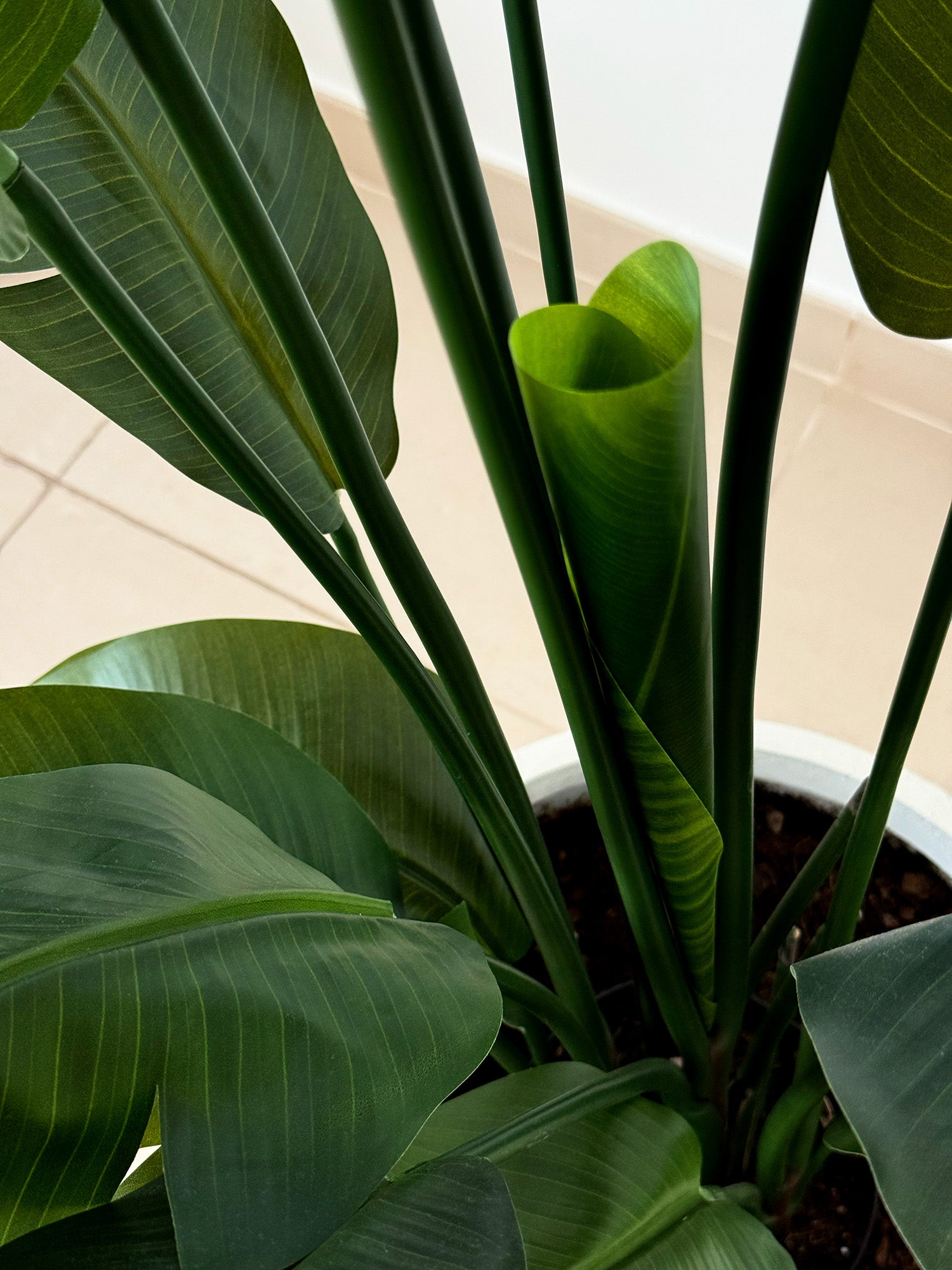 Artificial Bird of Paradise