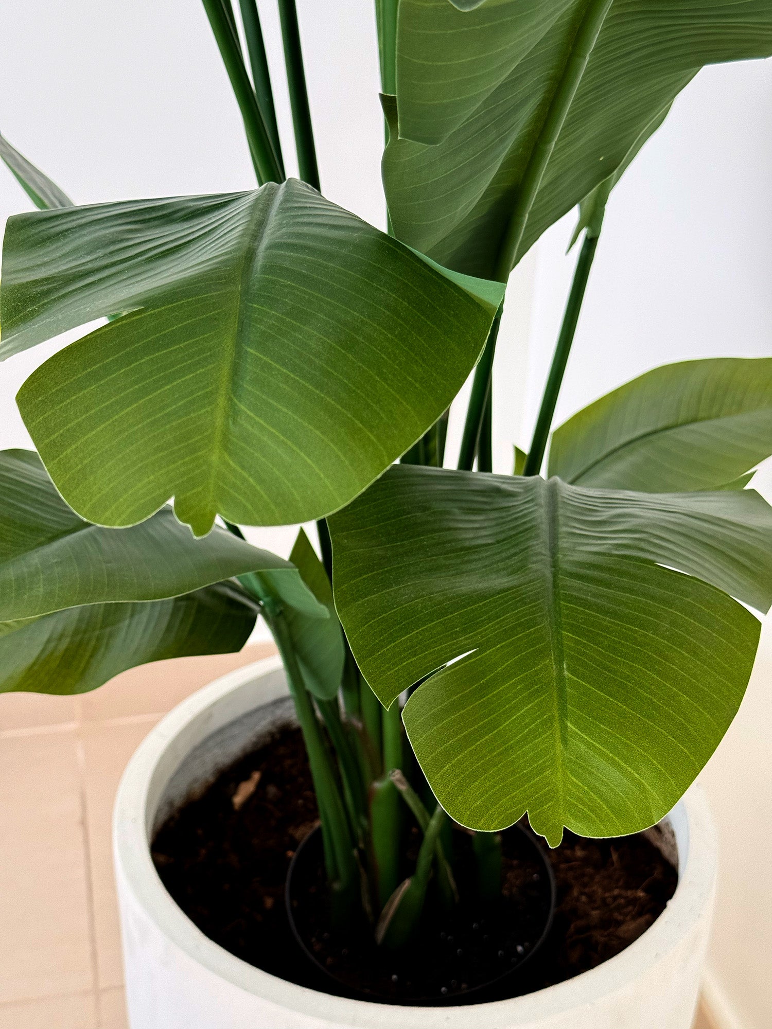 Artificial Bird of Paradise