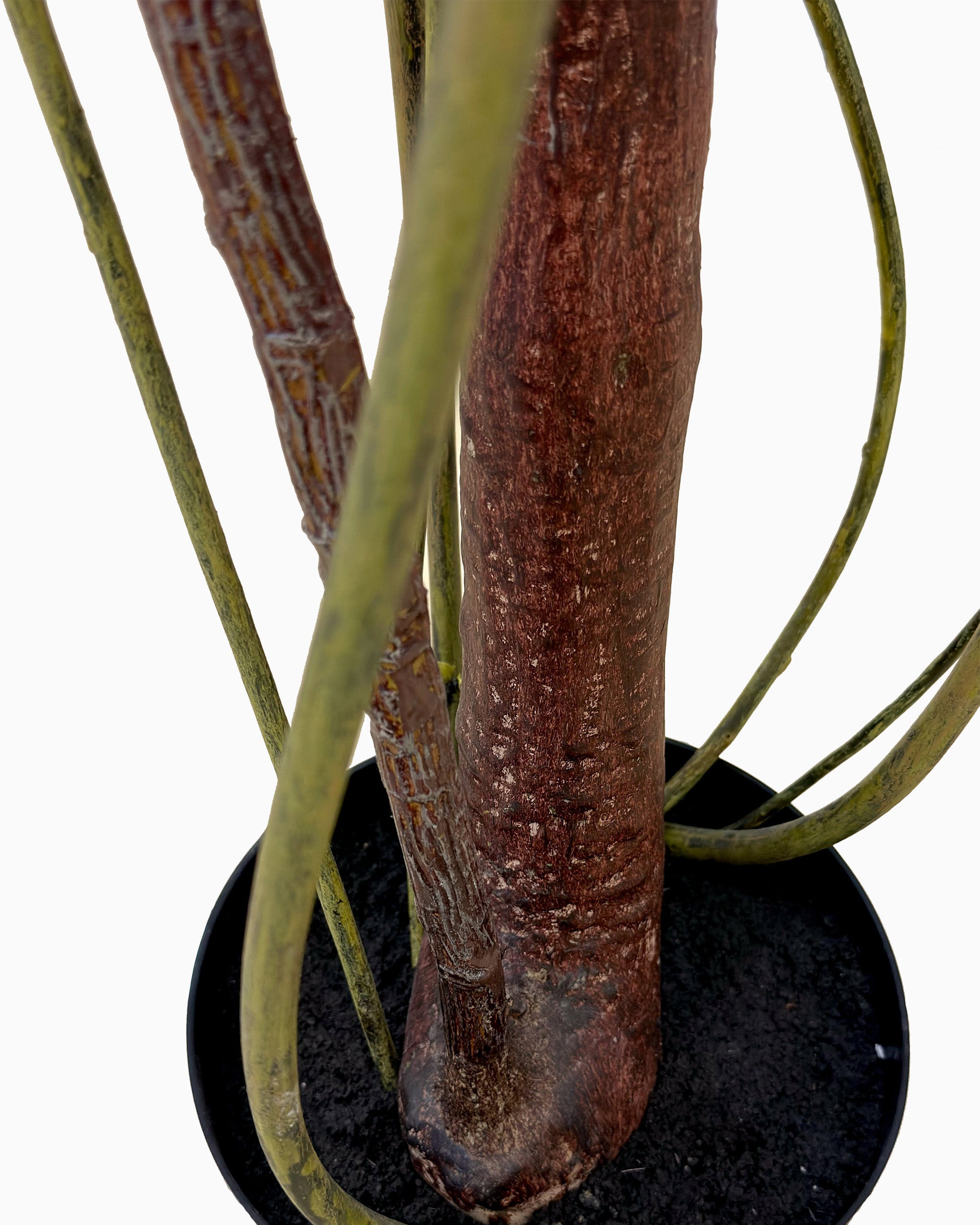 Artificial Rubber Tree