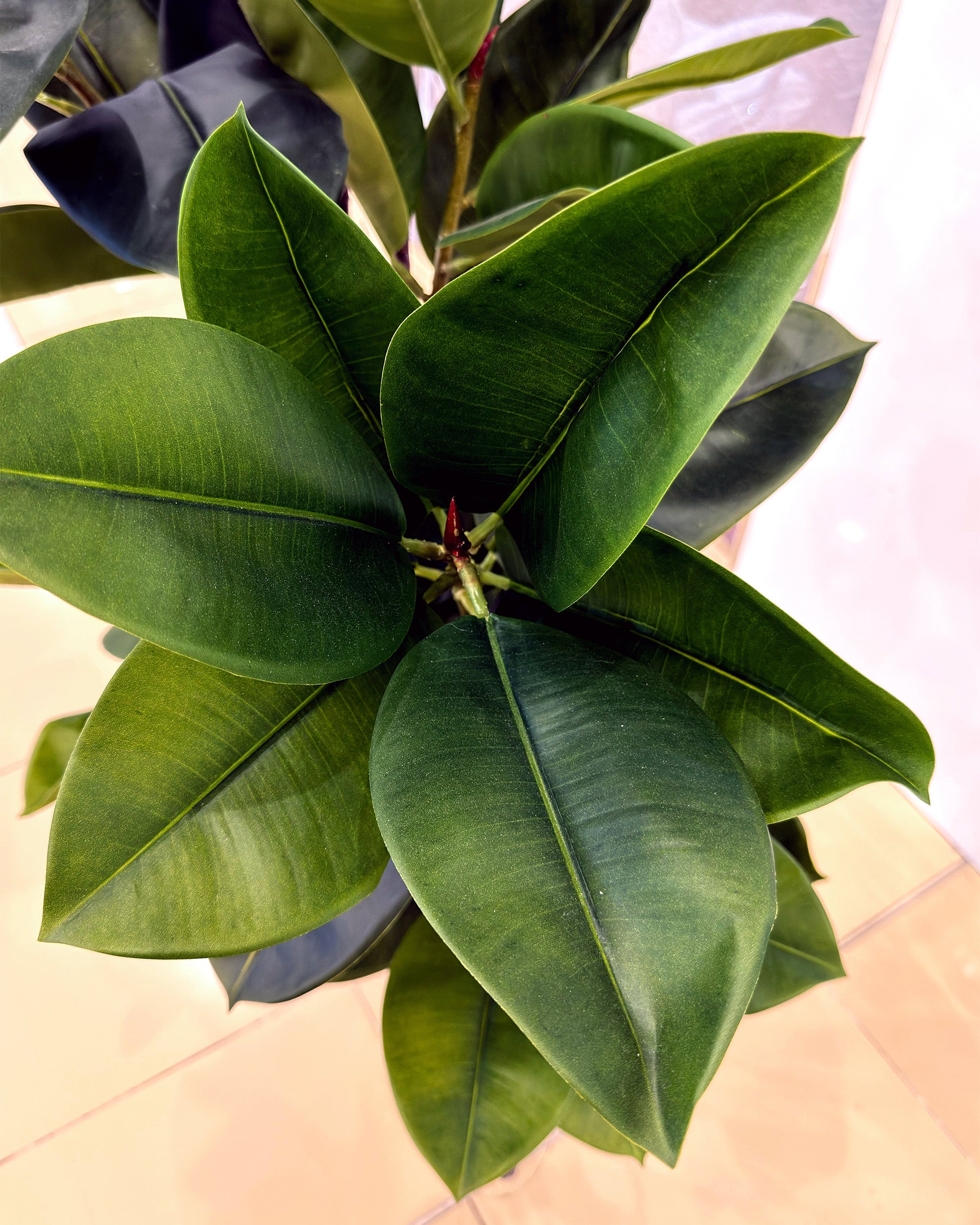 Artificial Rubber Tree