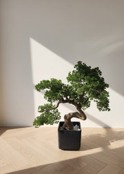 Artificial Bonsai